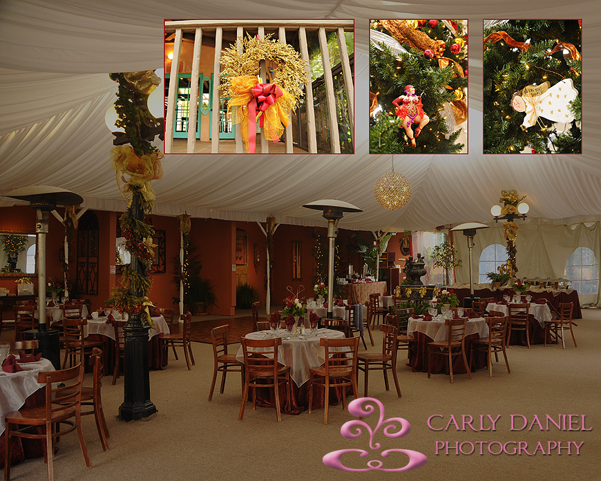 Tivoli Terrace wedding photos