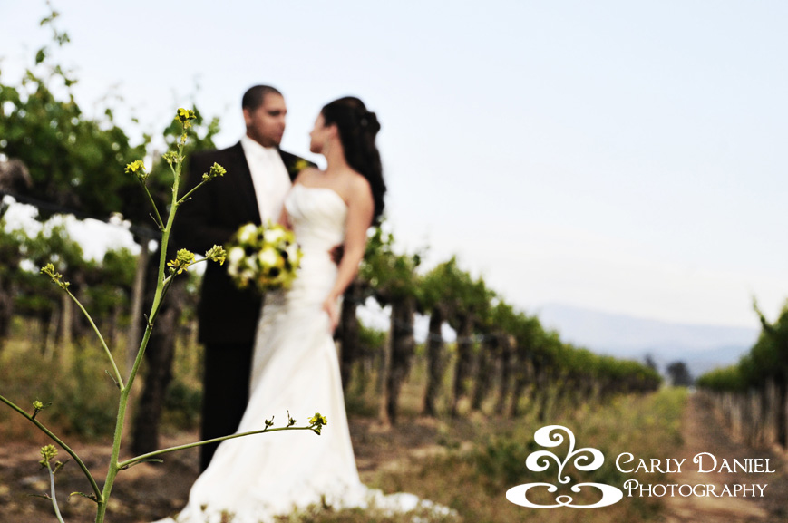 vineyard wedding Temecula