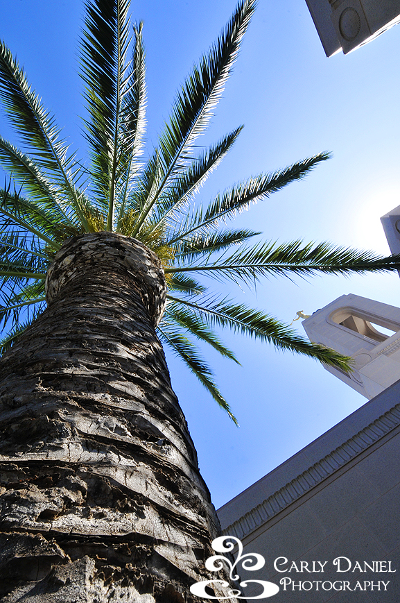 Mormon Temple wedding pictures