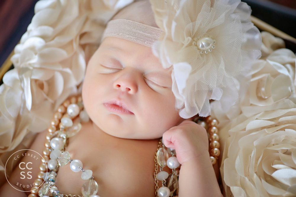 vintage theme newborn photography