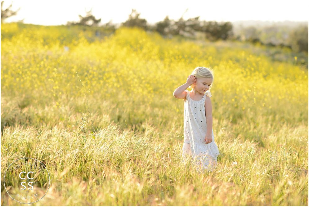 family portrait photographer newport beach